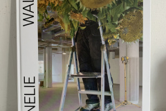 Boken om Annelie Wallins konstnärsskap