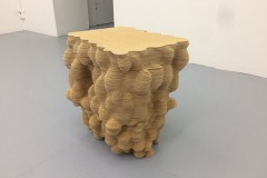 Fungus B, Installationsbild från utställningen Skikt på IDI galleri i Stockholm 2018.